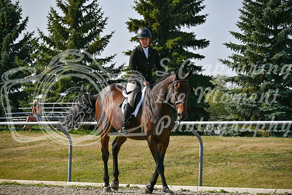 2025 - Petra - Harvest Horse Show - Sunday, September 14th 10850