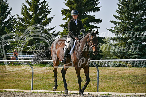 2025 - Petra - Harvest Horse Show - Sunday, September 14th 10851