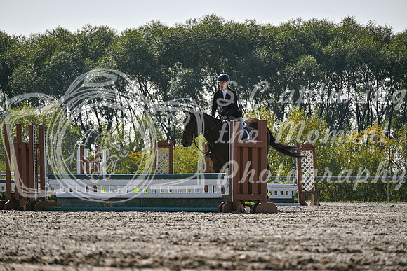 2025 - Petra - Harvest Horse Show - Sunday, September 14th 10852