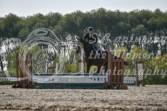 2025 - Petra - Harvest Horse Show - Sunday, September 14th 10854