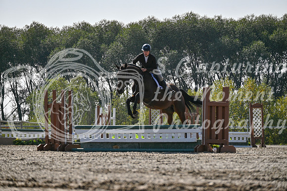2025 - Petra - Harvest Horse Show - Sunday, September 14th 10856
