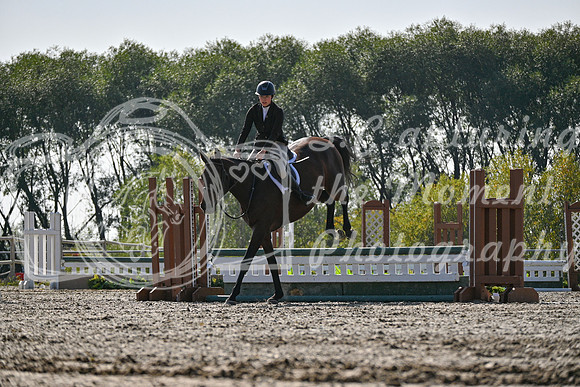 2025 - Petra - Harvest Horse Show - Sunday, September 14th 10859