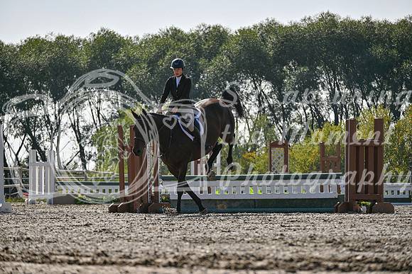 2025 - Petra - Harvest Horse Show - Sunday, September 14th 10860
