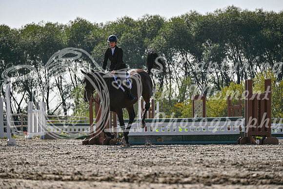 2025 - Petra - Harvest Horse Show - Sunday, September 14th 10861