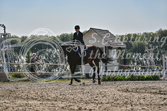 2025 - Petra - Harvest Horse Show - Sunday, September 14th 10863