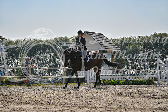 2025 - Petra - Harvest Horse Show - Sunday, September 14th 10862