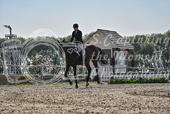 2025 - Petra - Harvest Horse Show - Sunday, September 14th 10864