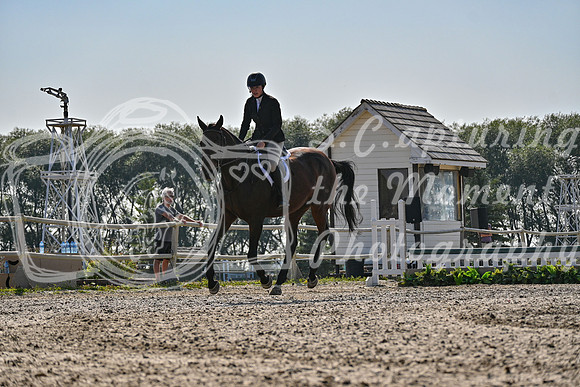 2025 - Petra - Harvest Horse Show - Sunday, September 14th 10865