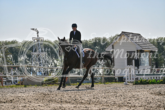 2025 - Petra - Harvest Horse Show - Sunday, September 14th 10867
