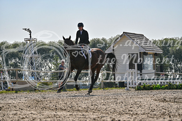 2025 - Petra - Harvest Horse Show - Sunday, September 14th 10866