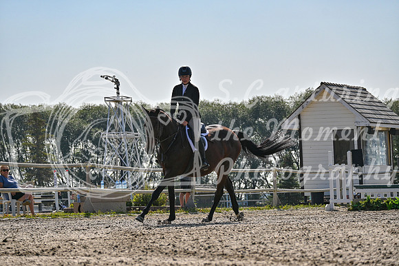 2025 - Petra - Harvest Horse Show - Sunday, September 14th 10868