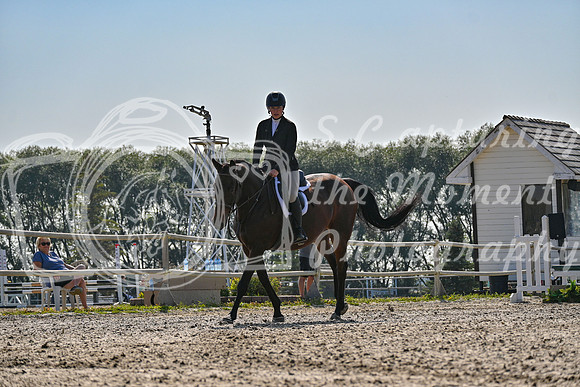 2025 - Petra - Harvest Horse Show - Sunday, September 14th 10869