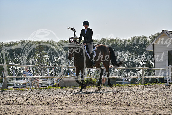 2025 - Petra - Harvest Horse Show - Sunday, September 14th 10870
