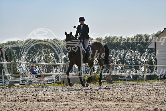 2025 - Petra - Harvest Horse Show - Sunday, September 14th 10871