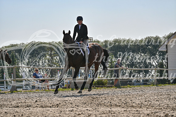 2025 - Petra - Harvest Horse Show - Sunday, September 14th 10872