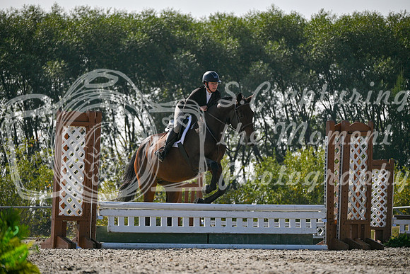 2025 - Petra - Harvest Horse Show - Sunday, September 14th 10873