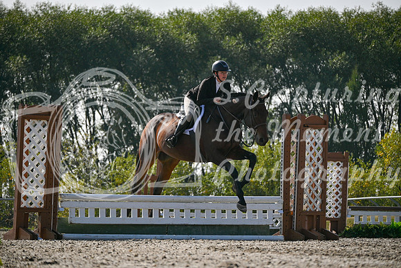 2025 - Petra - Harvest Horse Show - Sunday, September 14th 10875