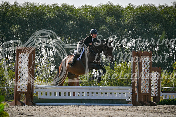 2025 - Petra - Harvest Horse Show - Sunday, September 14th 10874