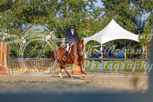 2025 - Shea - Fall Finale - Sunday September 14th - 04495