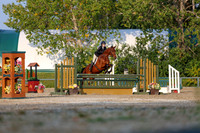 2025 - Shea - Fall Finale - Sunday September 14th - 04440