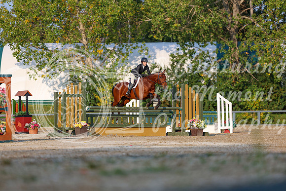2025 - Shea - Fall Finale - Sunday September 14th - 04445