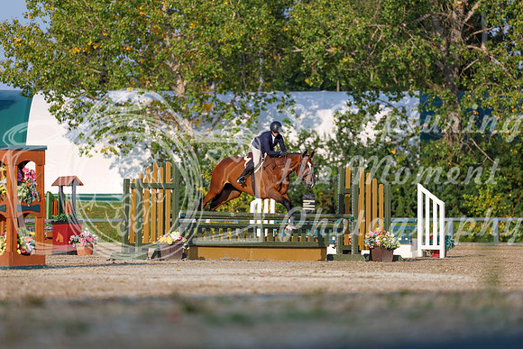 2025 - Shea - Fall Finale - Sunday September 14th - 04530