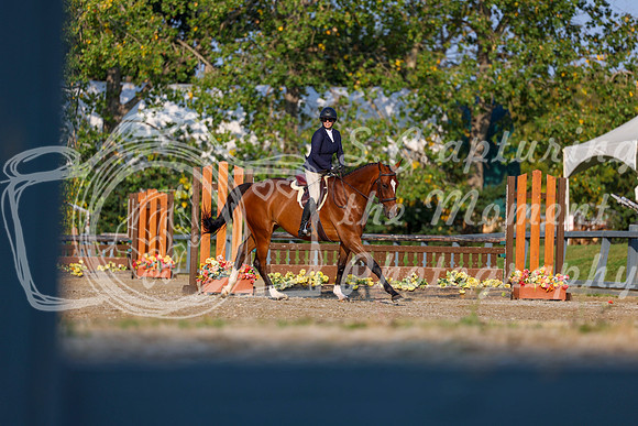 2025 - Shea - Fall Finale - Sunday September 14th - 04531