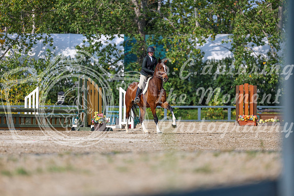 2025 - Shea - Fall Finale - Sunday September 14th - 05445