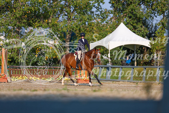2025 - Shea - Fall Finale - Sunday September 14th - 04536