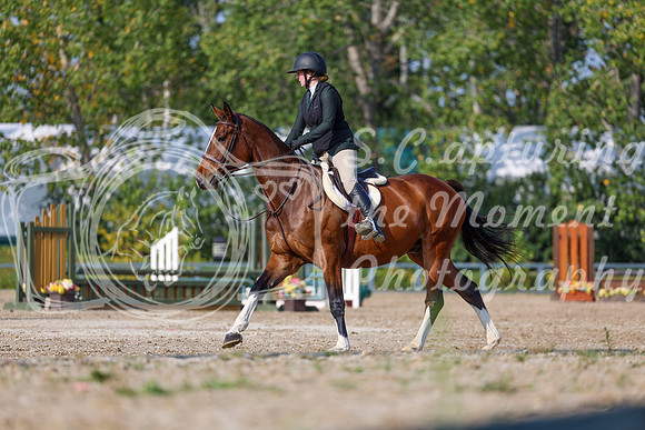 2025 - Shea - Fall Finale - Sunday September 14th - 05446