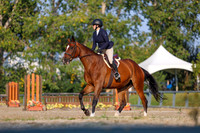 2025 - Shea - Fall Finale - Sunday September 14th - 04537