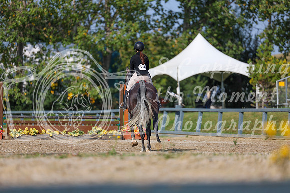 2025 - Shea - Fall Finale - Sunday September 14th - 05400