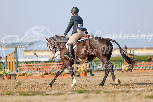 2025 - Shea - Fall Finale - Sunday September 14th - 05114