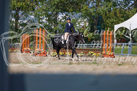 2025 - Shea - Fall Finale - Sunday September 14th - 05515