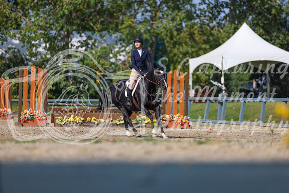 2025 - Shea - Fall Finale - Sunday September 14th - 05516