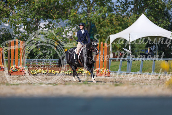 2025 - Shea - Fall Finale - Sunday September 14th - 05517