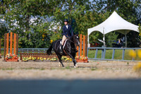 2025 - Shea - Fall Finale - Sunday September 14th - 05518