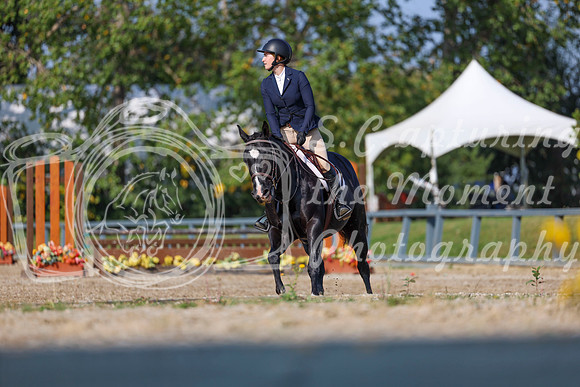 2025 - Shea - Fall Finale - Sunday September 14th - 05519