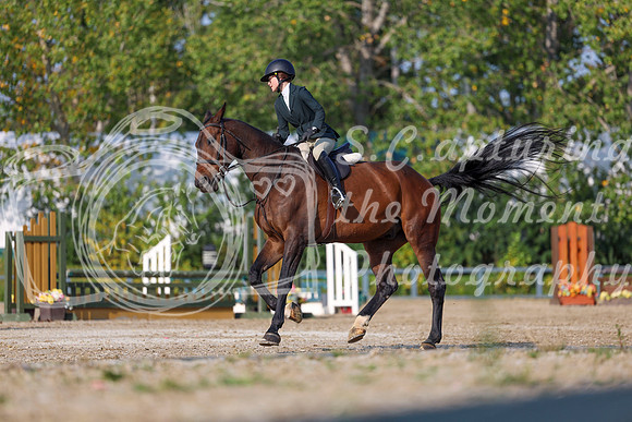2025 - Shea - Fall Finale - Sunday September 14th - 05018