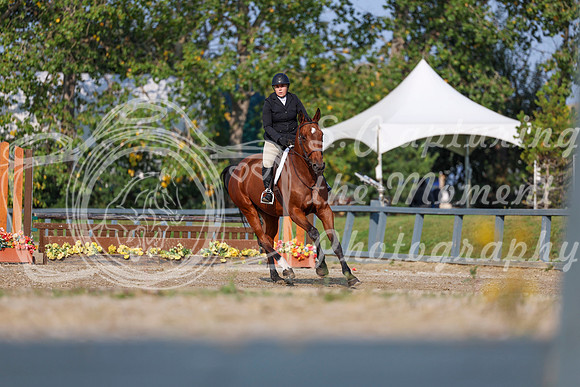 2025 - Shea - Fall Finale - Sunday September 14th - 04750
