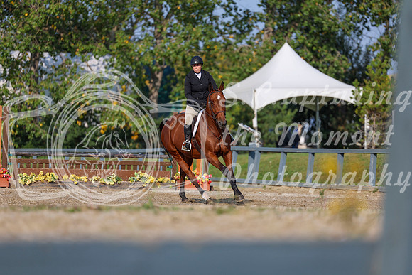 2025 - Shea - Fall Finale - Sunday September 14th - 04752