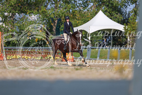 2025 - Shea - Fall Finale - Sunday September 14th - 04713