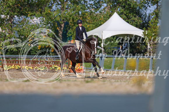 2025 - Shea - Fall Finale - Sunday September 14th - 04714