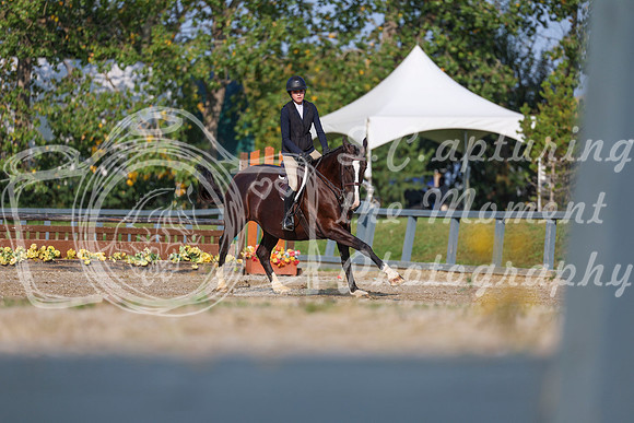 2025 - Shea - Fall Finale - Sunday September 14th - 04715