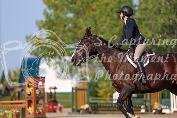 2025 - Shea - Fall Finale - Sunday September 14th - 04720