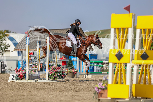 2025 - Mara - Fall Finale - Sunday September 14th - 14180