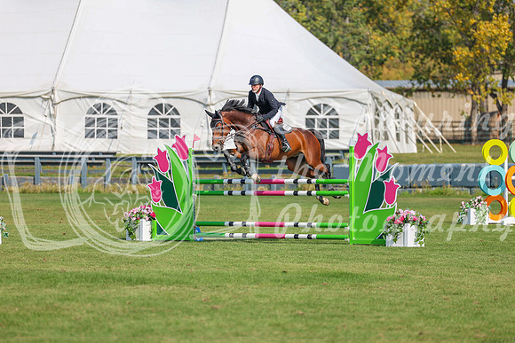 2025 - Shea - Fall Finale - Sunday September 14th - 05800