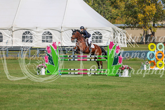2025 - Shea - Fall Finale - Sunday September 14th - 06550