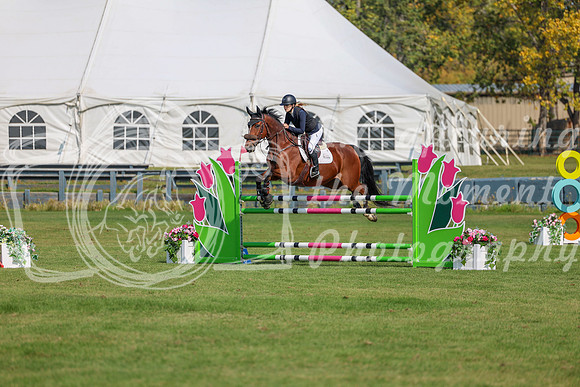 2025 - Shea - Fall Finale - Sunday September 14th - 06554