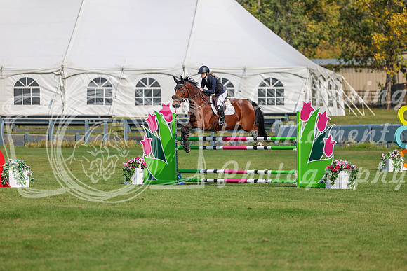 2025 - Shea - Fall Finale - Sunday September 14th - 06555